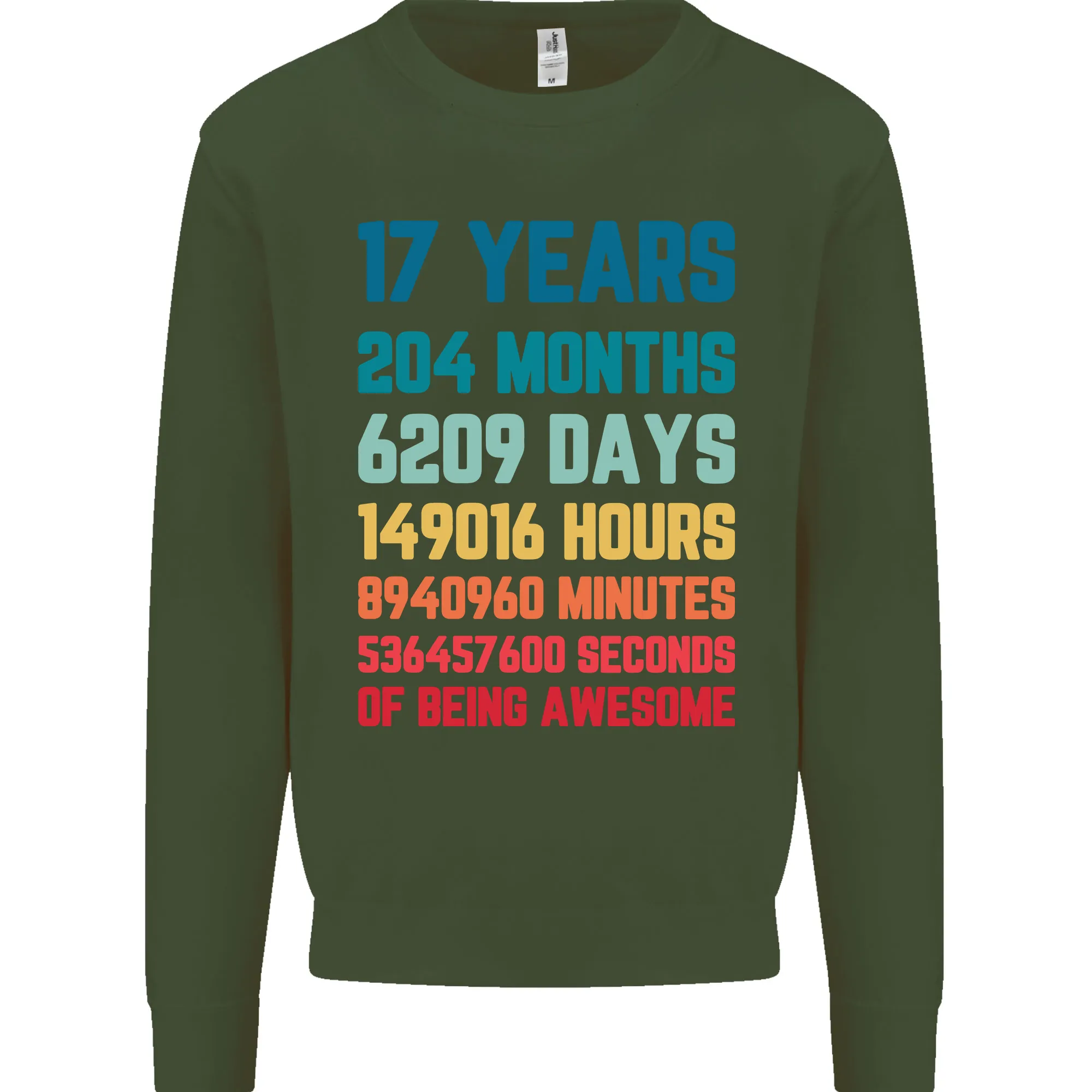 17th Birthday 17 Year Old Mens Sweatshirt Jumper