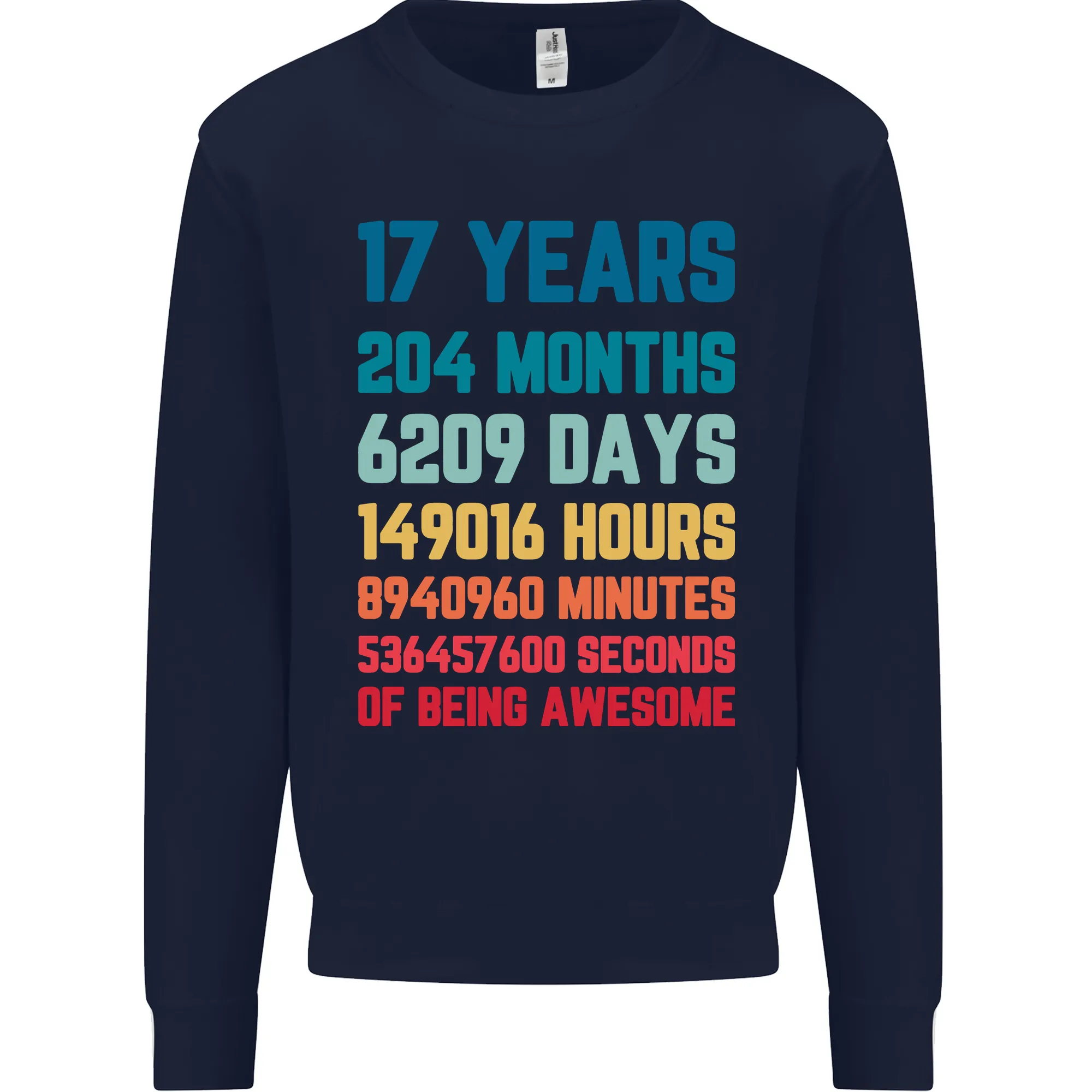 17th Birthday 17 Year Old Mens Sweatshirt Jumper