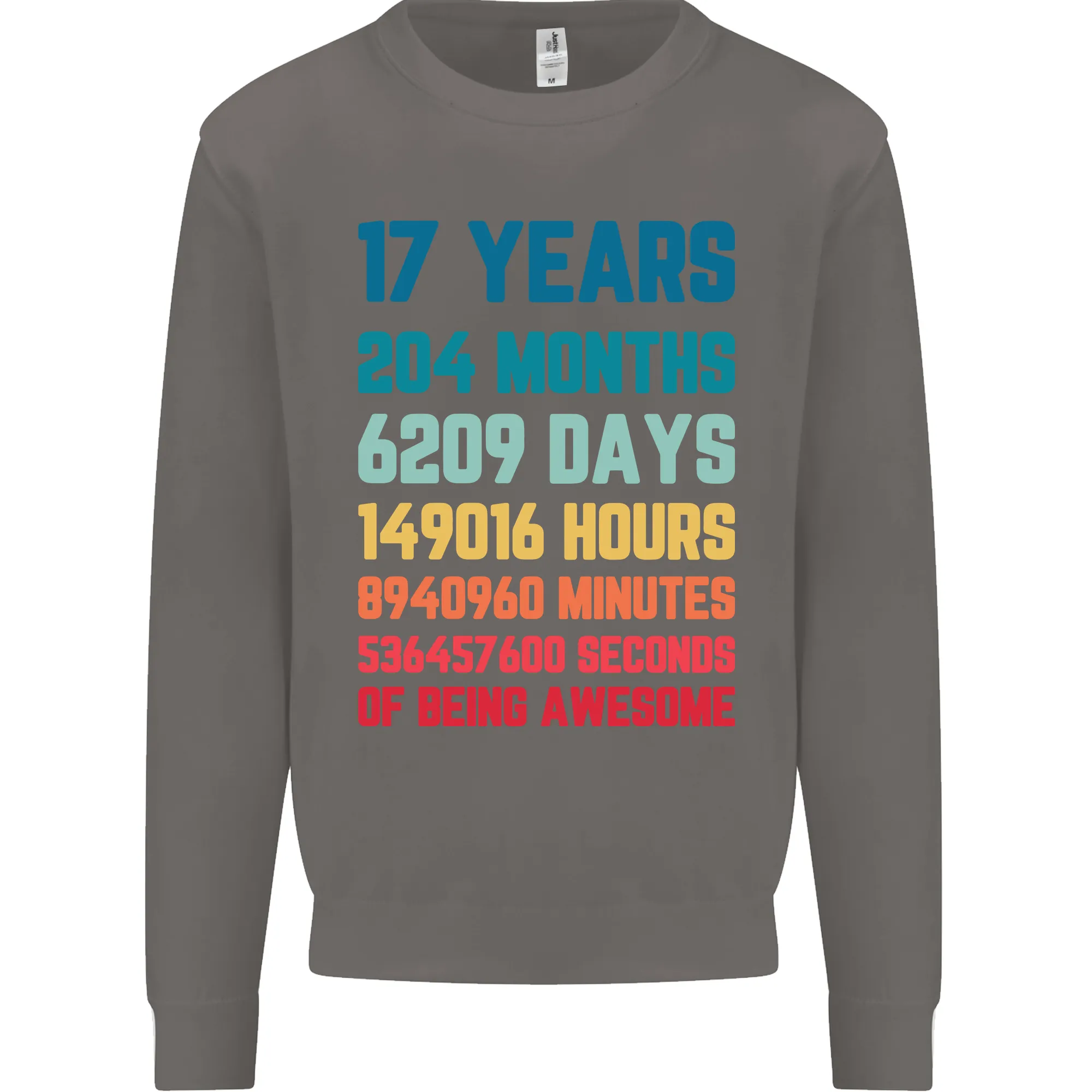 17th Birthday 17 Year Old Mens Sweatshirt Jumper