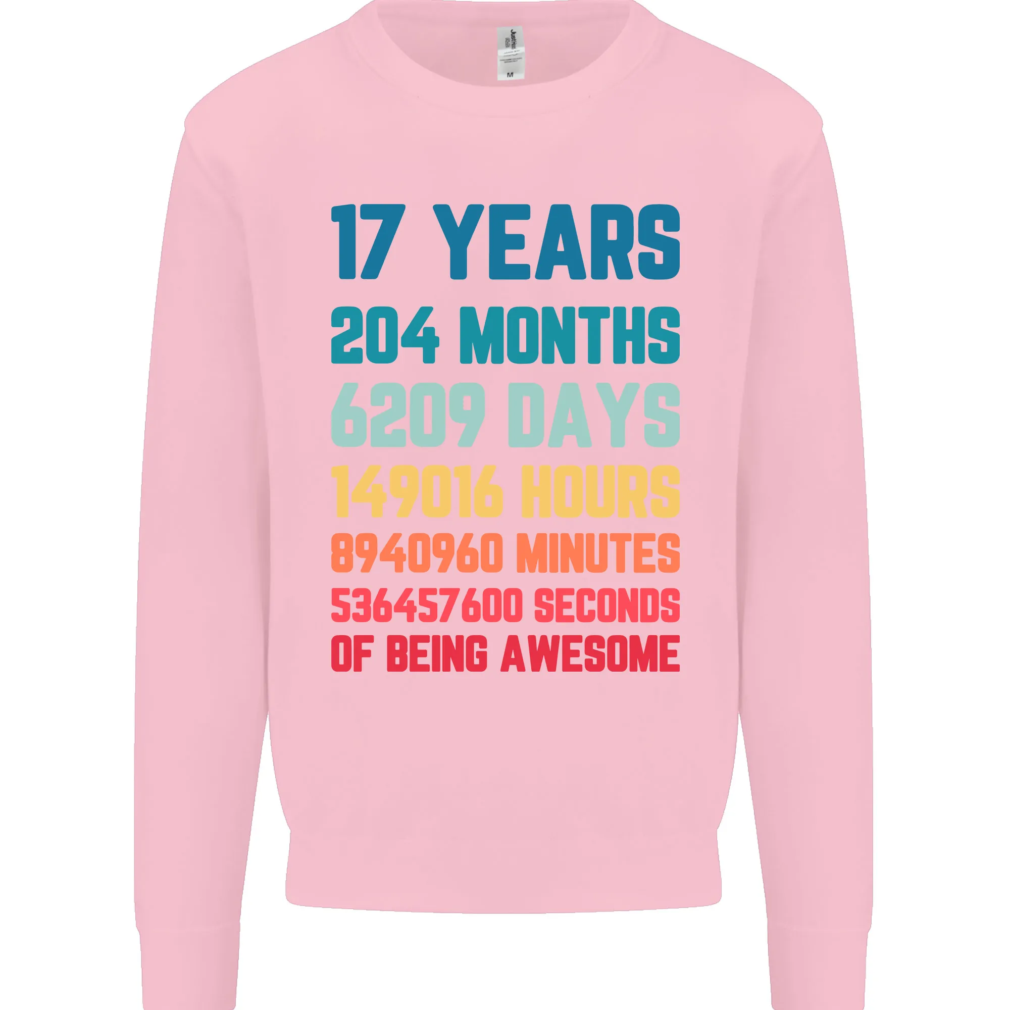 17th Birthday 17 Year Old Mens Sweatshirt Jumper