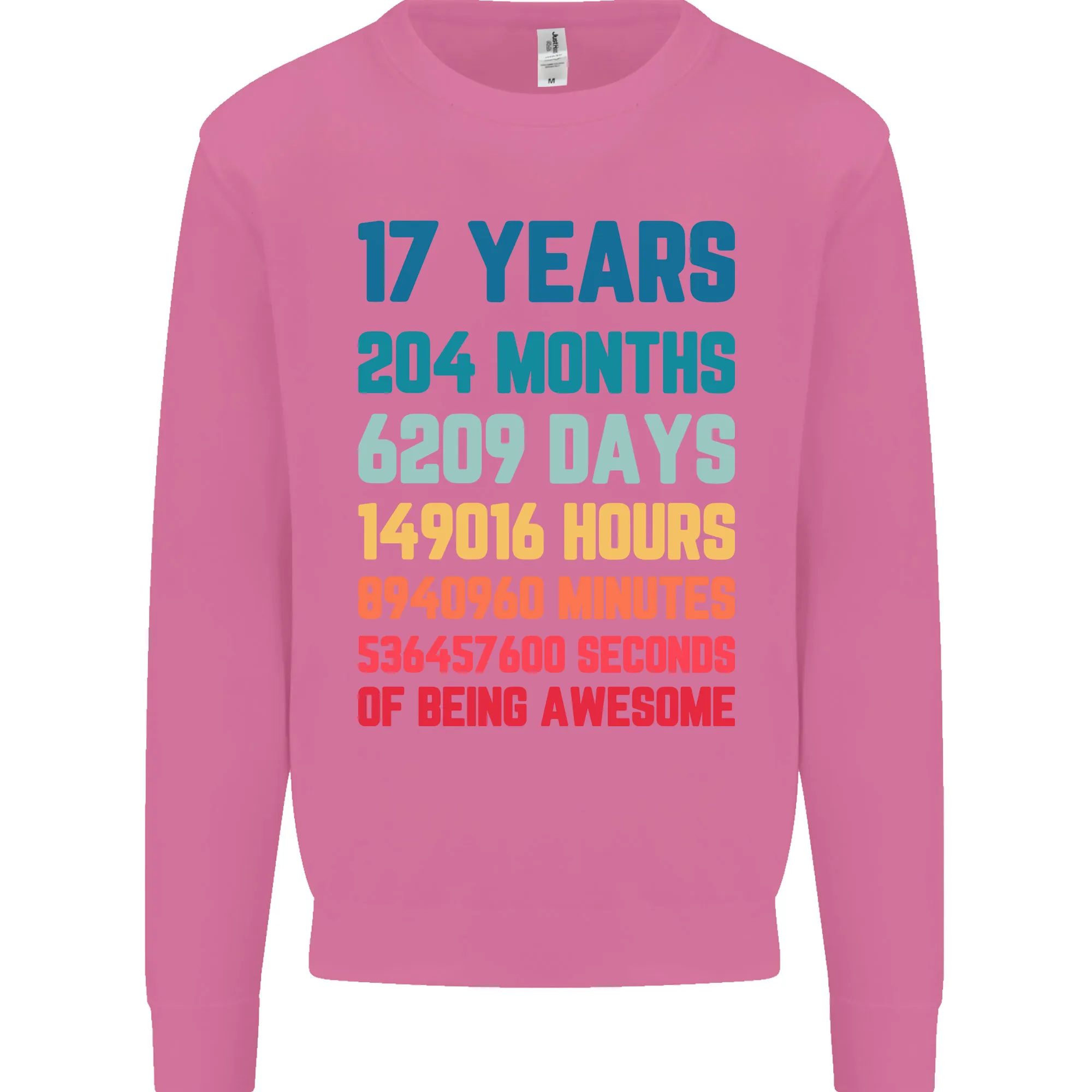 17th Birthday 17 Year Old Mens Sweatshirt Jumper