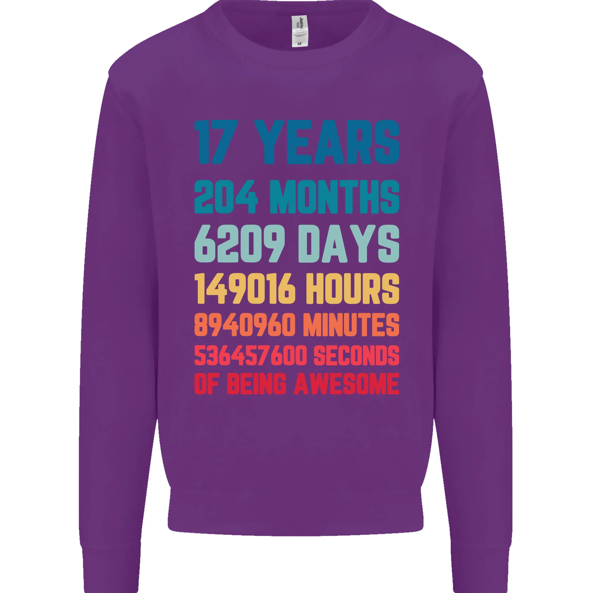 17th Birthday 17 Year Old Mens Sweatshirt Jumper