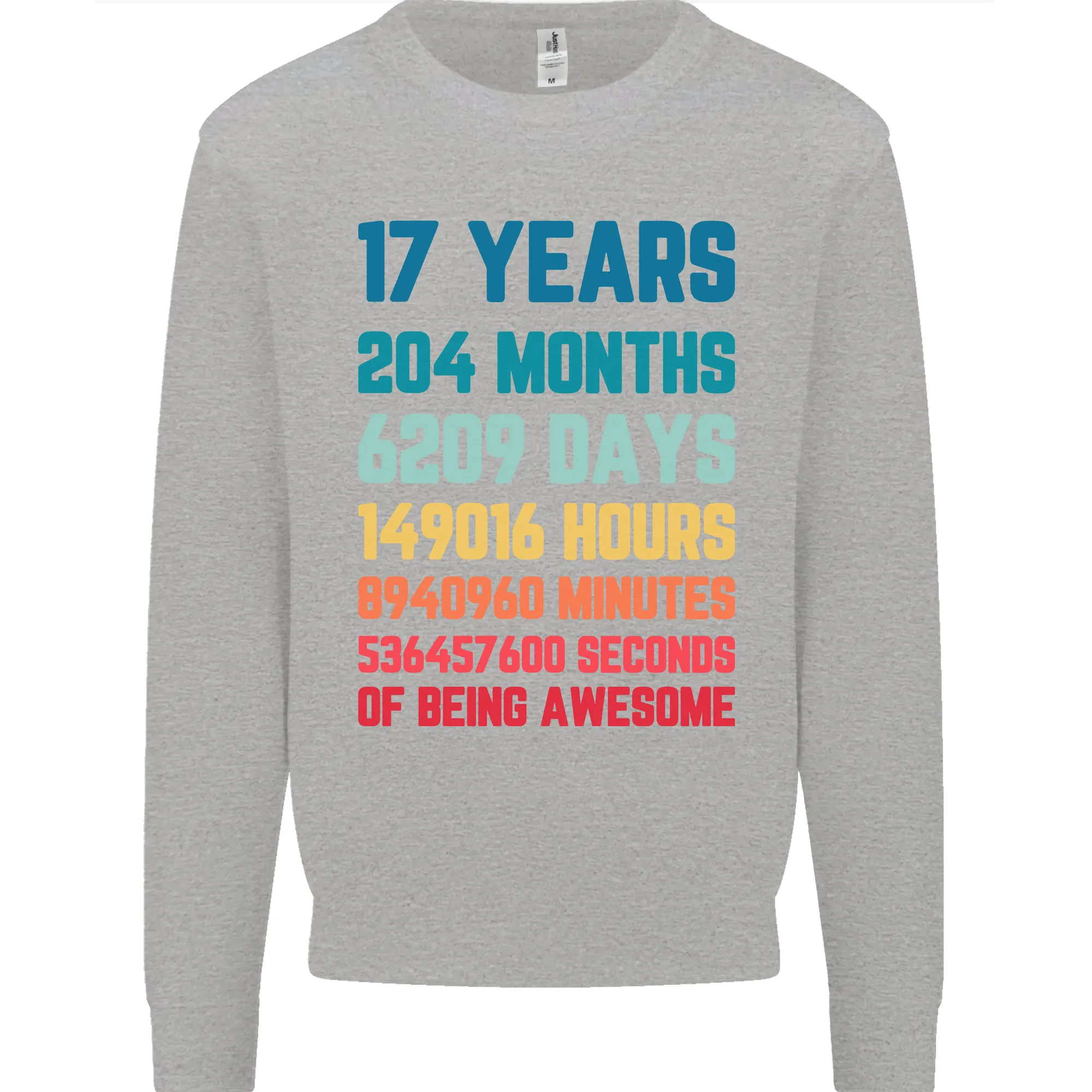 17th Birthday 17 Year Old Mens Sweatshirt Jumper