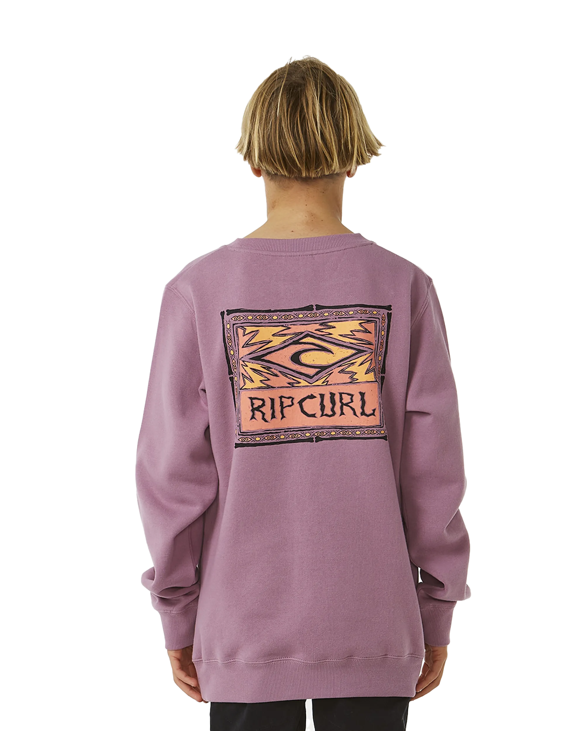 Boys Lost Island Sweatshirt in Dusty Purple