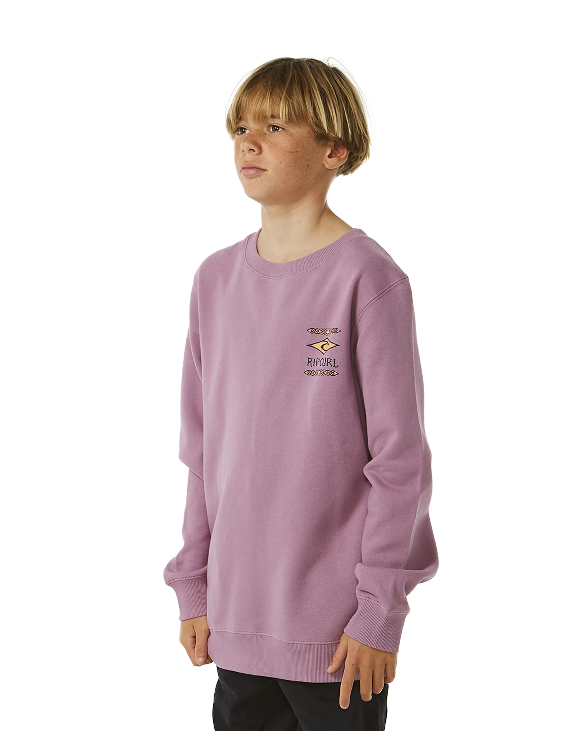 Boys Lost Island Sweatshirt in Dusty Purple