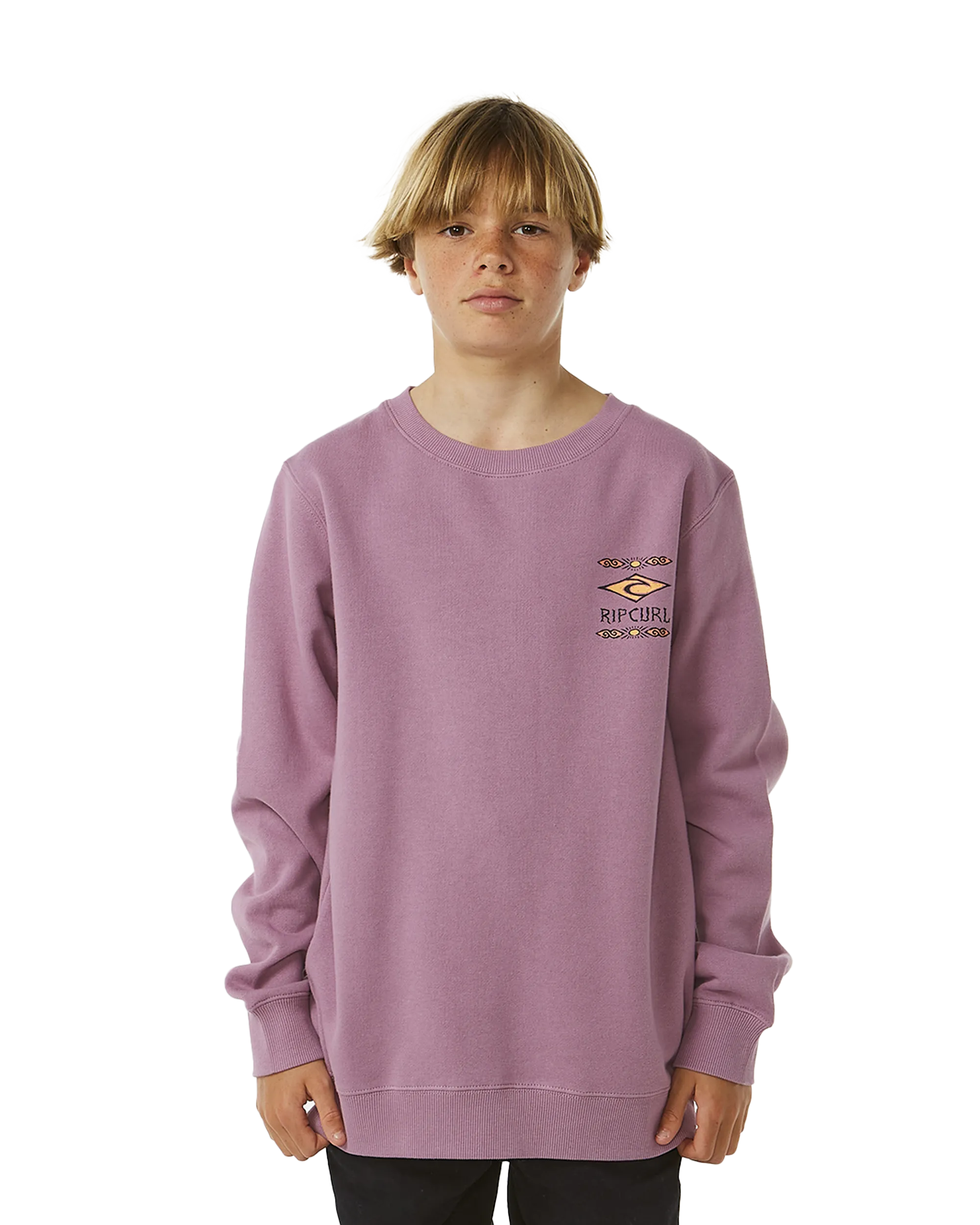 Boys Lost Island Sweatshirt in Dusty Purple