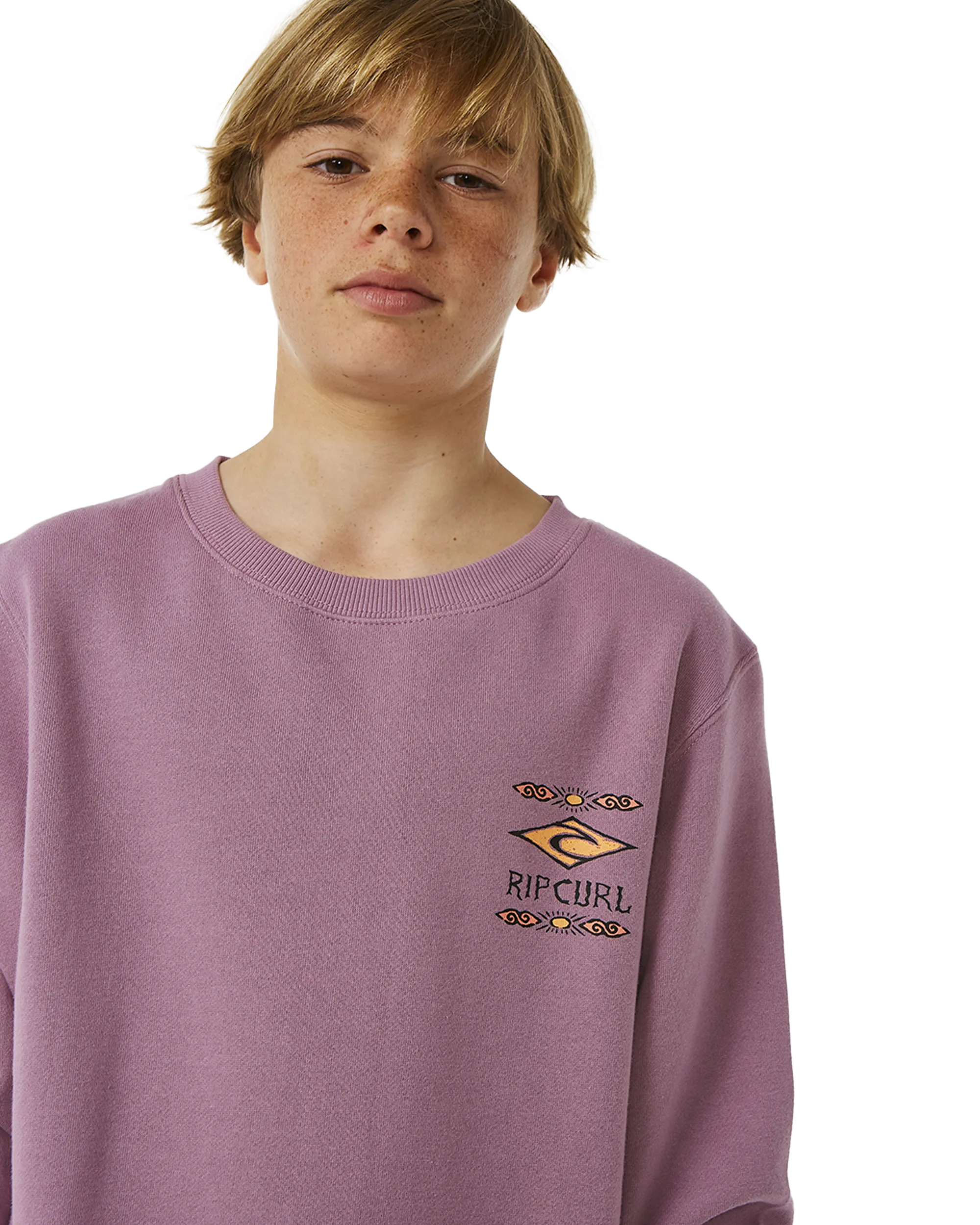 Boys Lost Island Sweatshirt in Dusty Purple