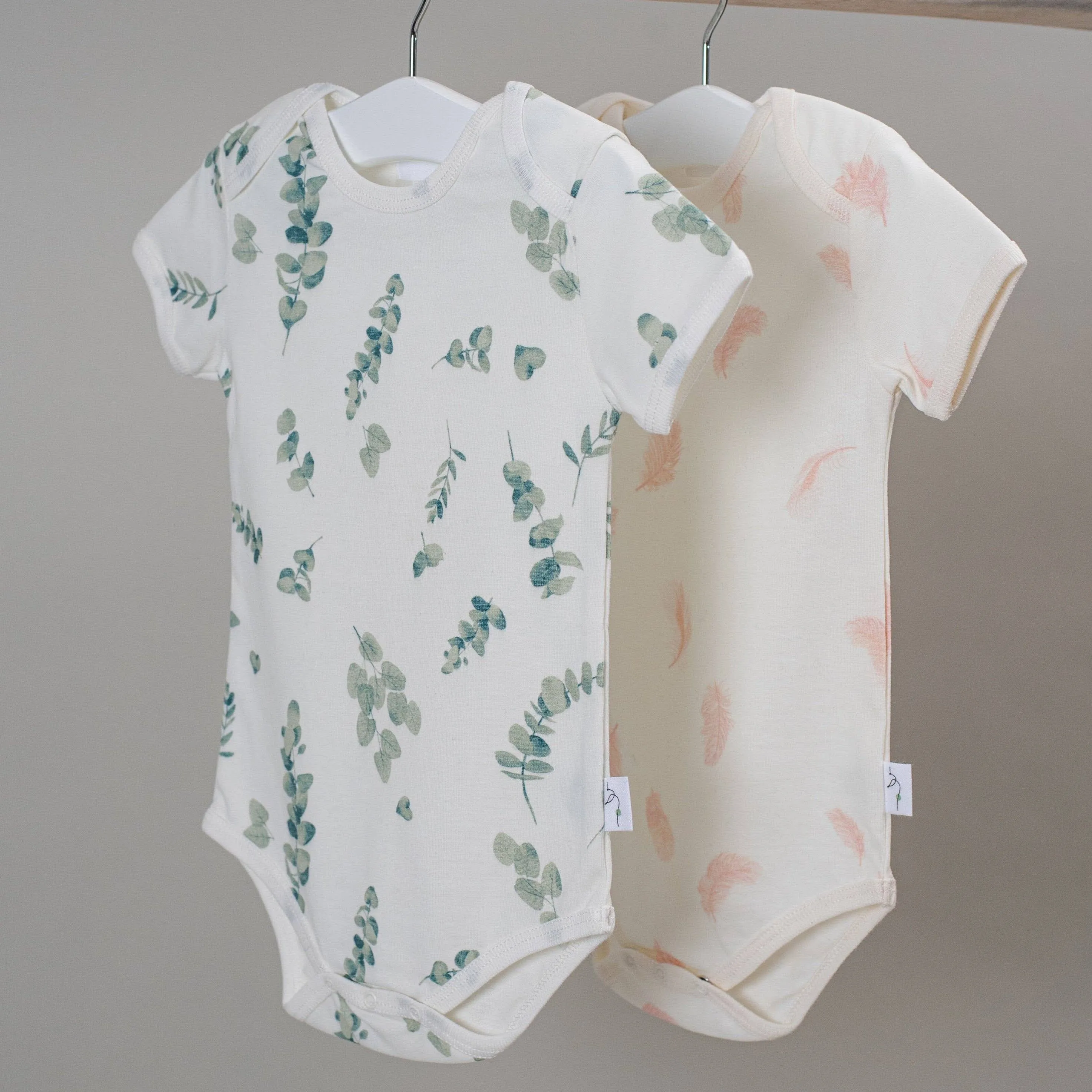 Ciconia Organics Eucalyptus Bodysuit: 0-3M