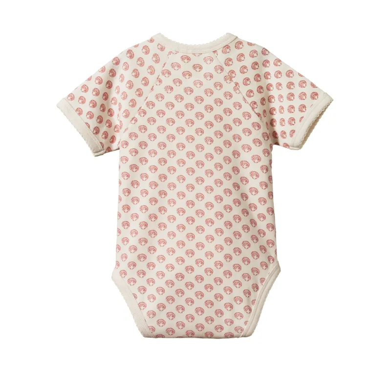 Nature Baby SS Kimono Suit - Scallop Shell Print