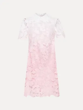 Ombré Peony Guipure Shift Dress