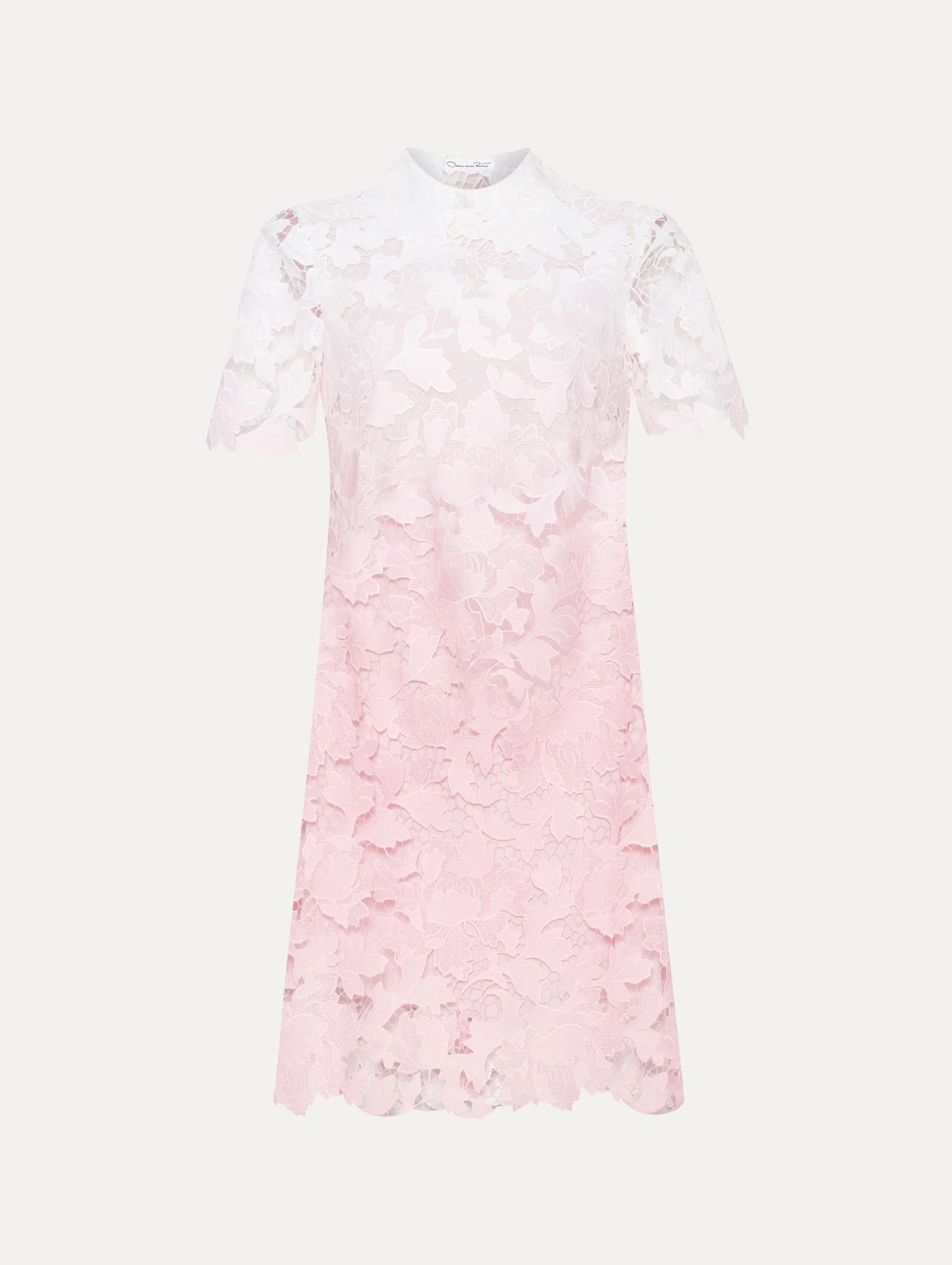 Ombré Peony Guipure Shift Dress