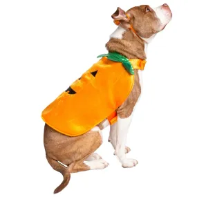 Pumpkin Dog Costume