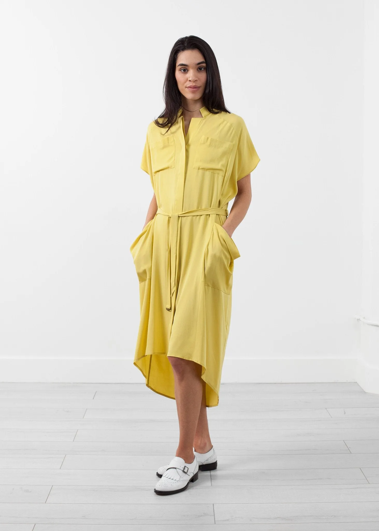 Ultime Silk Shirt Dress